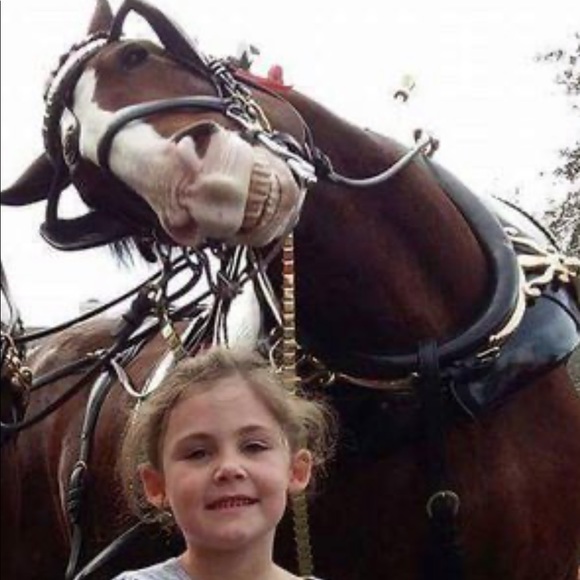 Meet your Posher, Mark - Picture 11 of 16